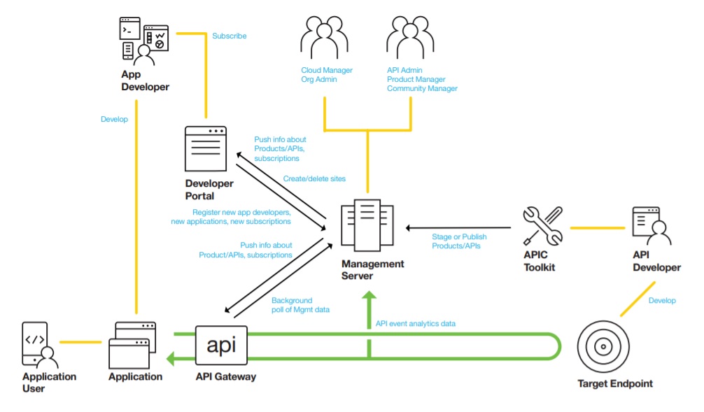 IBM API, API, IBM, Pragmaedge, Pragmatic, IBM Api connect, application programming interface,